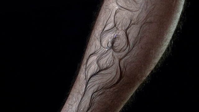 Video Reference: Human body, Neck, Thigh, Wood, Trunk, Artifact, Knee, Trunk, Elbow, Temporary tattoo