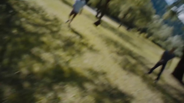 Video Reference: Asphalt, Grass, People in nature, Road surface, Tints and shades, Landscape, Road, Tree, Wood, Soil