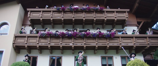 Video Reference: Flower, Photograph, Plant, White, Purple, Green, Window, Blue, Lighting, Pink