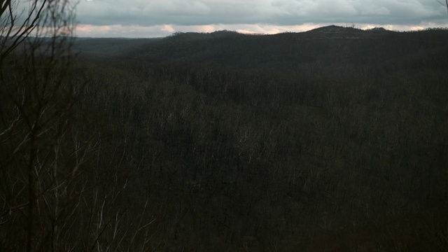 Video Reference: Cloud, Sky, Atmosphere, Mountain, Natural landscape, Grass, Wood, Grassland, Plain, Forest