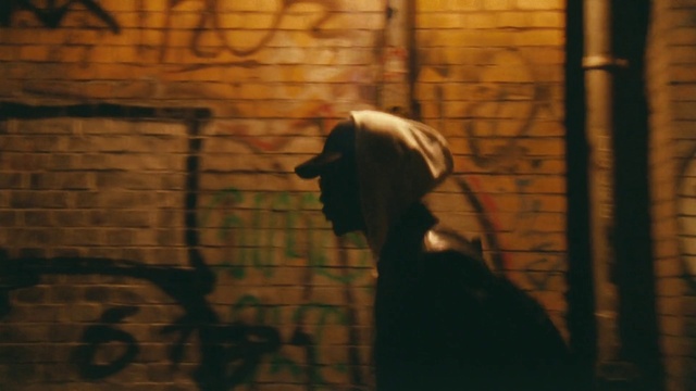 Video Reference: Wood, Carnivore, Brick, Tints and shades, Snout, Brickwork, Art, Working animal, Darkness, Shadow