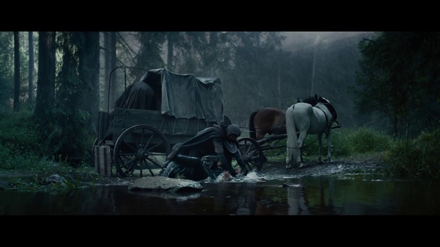 Video Reference: Wheel, Horse, Plant, Water, Working animal, Vehicle, Tree, Art, Cart, Landscape