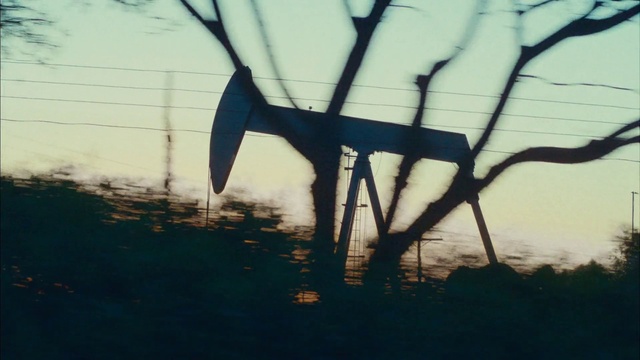 Video Reference: Atmosphere, Sky, People in nature, Twig, Gesture, Wood, Grass, Plant, Tints and shades, Natural landscape