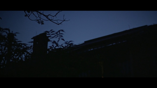 Video Reference: Sky, Twig, Electricity, Dusk, Flash photography, Tints and shades, Midnight, Electric blue, Rectangle, Tree