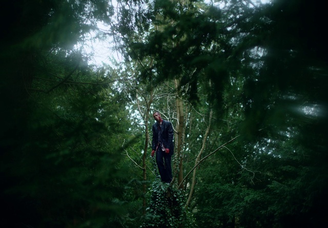 Video Reference: Plant, People in nature, Terrestrial plant, Wood, Tree, Natural landscape, Trunk, Sky, Twig, Tints and shades