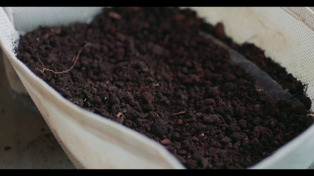 Video Reference: Food, Plant, Ingredient, Recipe, Cuisine, Dish, Baked goods, Soil, Mixture, Annual plant