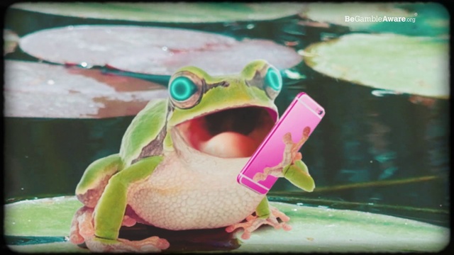 Video Reference: Frog, Organism, Toy, Pink, Amphibian, Tree frog, Fun, Magenta, Carmine, Art