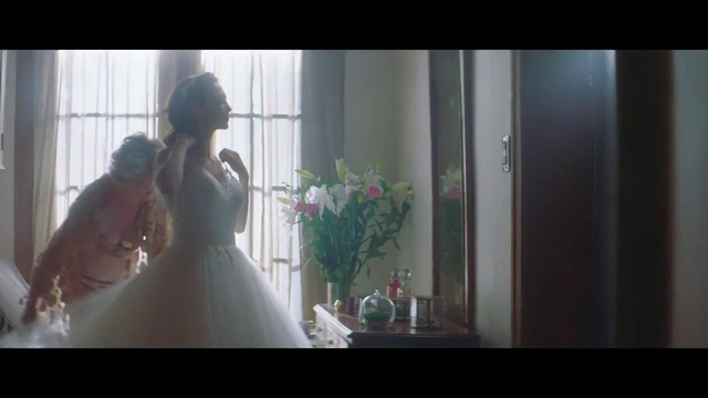 Video Reference: Flower, Wedding dress, Plant, Bride, Dress, Bridal veil, Flash photography, Gesture, Happy, Bridal clothing