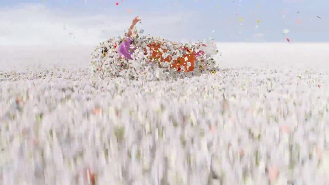 Video Reference: Flower, People in nature, Sky, Petal, Plant, Liquid, Natural landscape, Art, Grass, Meadow