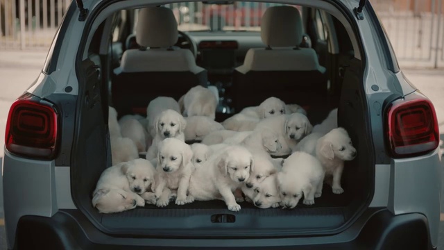 Video Reference: Car, Vehicle, Motor vehicle, White, Vertebrate, Hood, Toy, Automotive design, Automotive exterior, Mode of transport