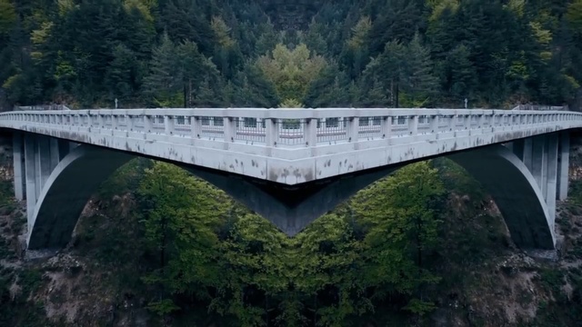 Video Reference: Water resources, Vertebrate, Tree, Body of water, Highland, Watercourse, Natural landscape, Thoroughfare, Girder bridge, Road