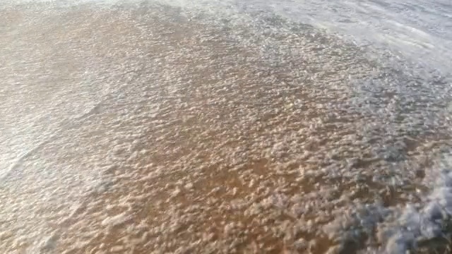 Video Reference: Water, Fluid, Road surface, Beach, Asphalt, Landscape, Shore, Wind wave, Sand, Soil