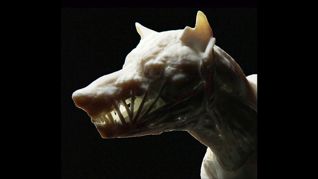 Video Reference: Jaw, Statue, Sculpture, Artifact, Creative arts, Art, Natural material, Snout, Tooth, Close-up