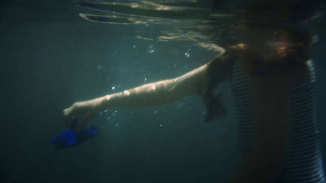 Video Reference: Water, Vertebrate, Fin, Underwater, Fluid, Organism, Marine biology, Carnivore, Fish, Tail