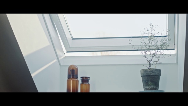Video Reference: Flowerpot, Wood, Rectangle, Window, Tints and shades, Glass, Plant, Houseplant, Flooring, Ceiling