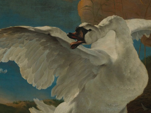 Video Reference: Bird, Beak, Feather, Paint, Art, Painting, Wing, Supernatural creature, Tail, Visual arts