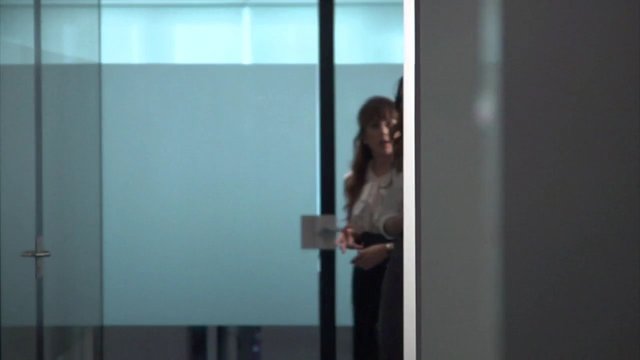 Video Reference: woman, office, hallway, glass door, indoor, interior, modern, standing, partially hidden, business, corridor, doorway