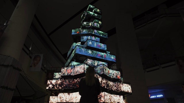 Video Reference: Christmas tree, Plant, Building, Architecture, World, Window, Tree, Darkness, Christmas decoration, Event