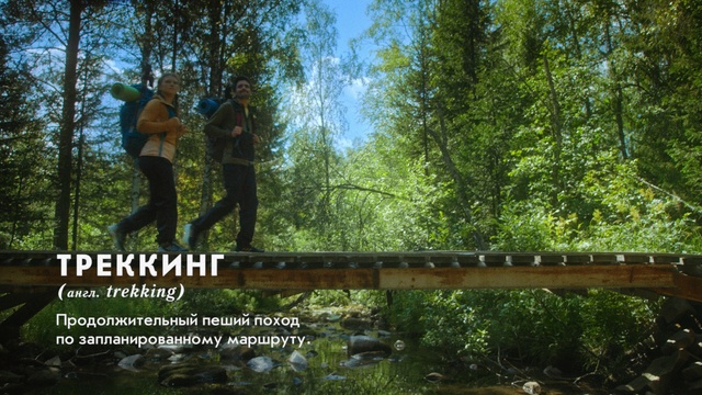 Video Reference: Sky, Plant, Natural environment, Wood, Natural landscape, Tree, Terrestrial plant, Biome, Trunk, People in nature