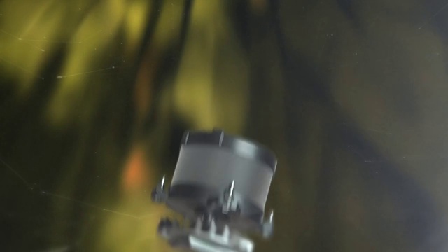 Video Reference: Automotive lighting, Automotive tire, Bumper, Rim, Bicycle part, Macro photography, Automotive exterior, Grass, Automotive wheel system, Electric blue