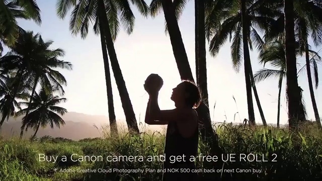 Video Reference: Sky, Plant, People in nature, Nature, Tree, Happy, Terrestrial plant, Vegetation, Flash photography, Arecales