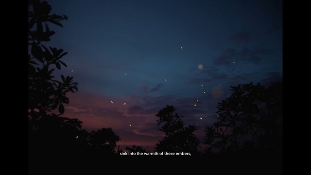 Video Reference: dusk, sky, sunset, silhouette, trees, branches, embers, floating particles, clouds, nightfall, outdoors, subtitles