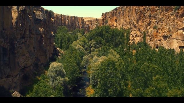 Video Reference: Mountain, Plant, Plant community, Natural landscape, Bedrock, Tree, Terrain, Sky, Mountainous landforms, Formation