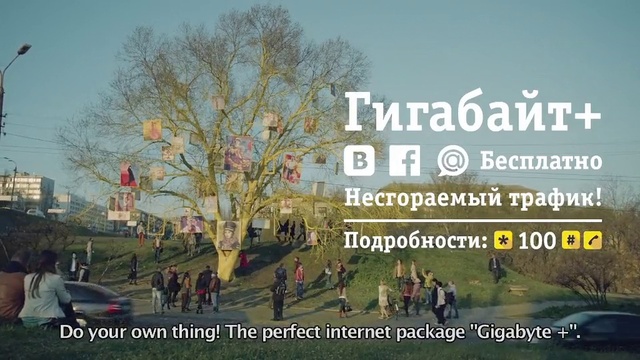 Video Reference: Plant, Sky, Natural landscape, Tree, Asphalt, Travel, Woody plant, Urban design, Landscape, City