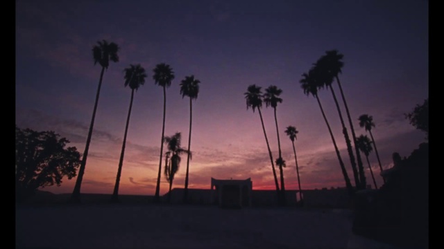 Video Reference: Cloud, Sky, Tree, Afterglow, Arecales, Plant, Sunset, Dusk, Sunrise, Horizon