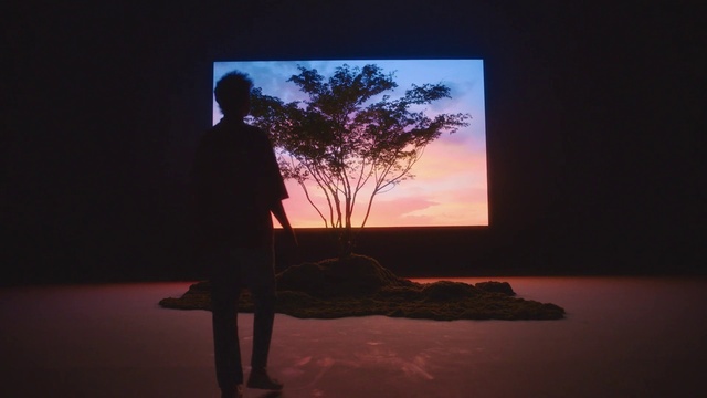 Video Reference: Sky, Plant, Tree, Flash photography, Branch, Dusk, Twig, Arecales, Atmospheric phenomenon, Afterglow