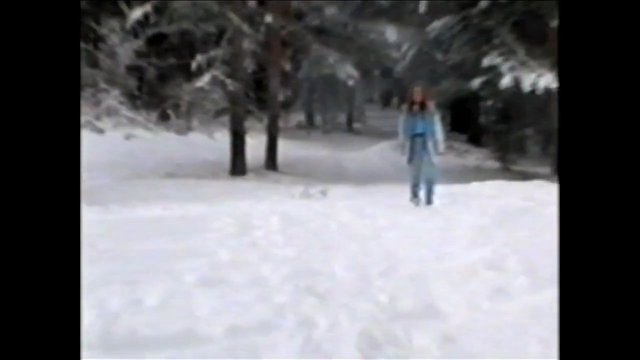 Video Reference: snow, winter, forest, trees, outdoors, person, standing, landscape, cold, nature, snowy, walkway