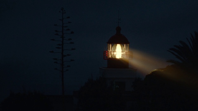 Video Reference: Lighthouse, Sky, Tower, Beacon, Electricity, Dusk, Tree, Astronomical object, Plant, Midnight
