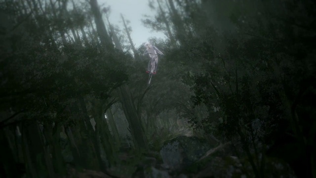 Video Reference: Plant, Water, Wood, Twig, Natural landscape, Terrestrial plant, Trunk, Sky, Tree, Landscape