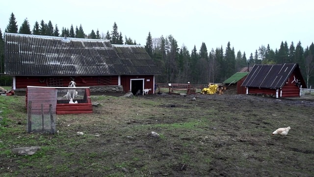 Video Reference: Sky, Plant, Window, Tree, Building, Land lot, House, Grass, Cottage, Grassland