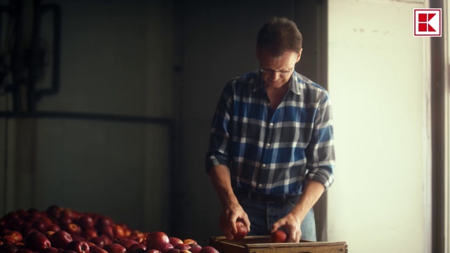 Video Reference: Sleeve, Wood, Fruit, Gas, Cooking, Natural foods, Plant, Tableware, T-shirt, Tartan