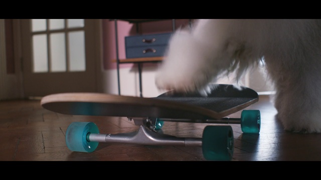 Video Reference: Sports equipment, Carnivore, Skateboard, Rolling, Gas, Skateboard truck, Skateboarding Equipment, Sports, Recreation, Composite material