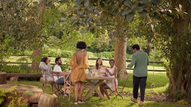 Video Reference: Plant, Table, Botany, Leaf, People in nature, Dress, Outdoor furniture, Tree, Grass, Chair