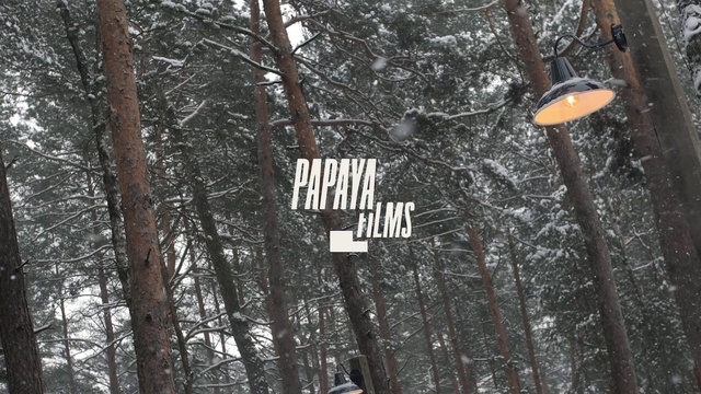 Video Reference: Street light, Twig, Wood, Tree, Trunk, Biome, Forest, Font, Natural landscape, Freezing