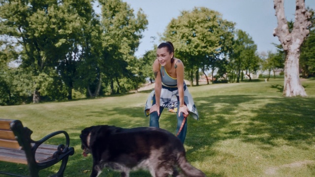 Video Reference: Plant, Dog, Sky, Tree, Dog breed, Carnivore, Grass, Leisure, Companion dog, Happy