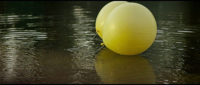 Video Reference: Water, Ball, Recreation, Water bird, Personal protective equipment, Sports toy, Event, Ball, Lake, Fishing float