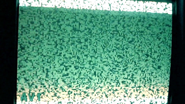 Video Reference: Green, Azure, Textile, Rectangle, Organism, Grass, Vegetation, Aqua, Line, Font