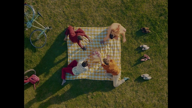 Video Reference: Grass, Rectangle, Grass family, Art, Lawn, Pattern, Grassland, Circle, Leisure, Recreation