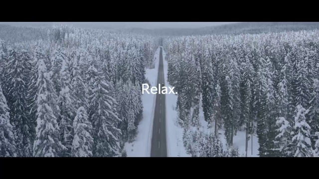 Video Reference: Plant, Snow, Natural landscape, Tree, Wood, Rectangle, Freezing, Atmospheric phenomenon, Grass, Font