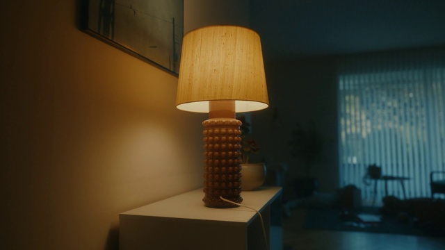 Video Reference: Table, Wood, Lamp, Tints and shades, Shade, Facial hair, Lampshade, Ceiling, Flooring, Ceiling fixture