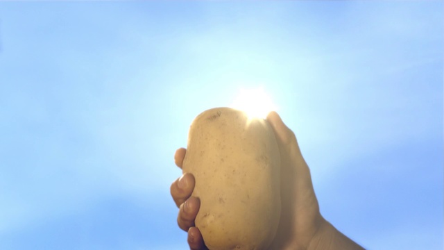 Video Reference: Sky, Hand, Cloud, Gesture, People in nature, Thumb, Plant, Art, Human leg, Foot