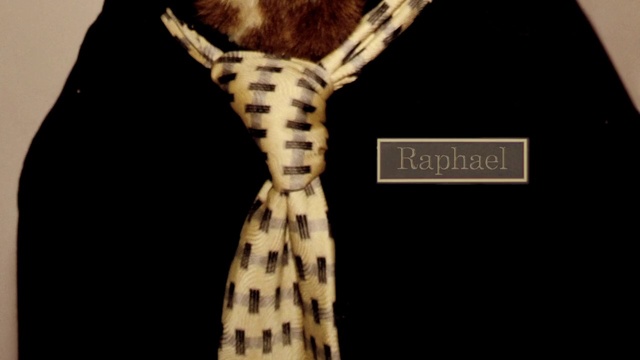 Video Reference: Dress, One-piece garment, Neck, Sleeve, Natural material, Day dress, Collar, Fashion design, Formal wear, Pattern