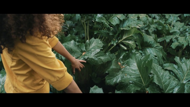 Video Reference: Plant, Leaf, People in nature, Flash photography, Window, Organism, Terrestrial plant, Happy, Tree, Grass