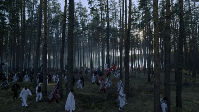 Video Reference: Plant, Tree, Natural landscape, Trunk, Atmospheric phenomenon, Wood, Landscape, Recreation, Grass, Grove