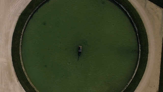 Video Reference: Dishware, Plant, Wood, Circle, Sports equipment, Grass, Window, Audio equipment, Platter, Automotive tire