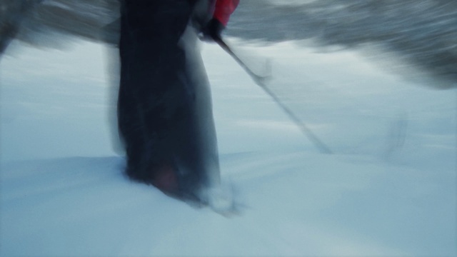 Video Reference: Beak, Snow, Freezing, Penguin, Ice cap, Flightless bird, Electric blue, Recreation, Wind wave, Glacial landform